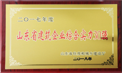 魚(yú)臺(tái)齊鑫化工有限公司